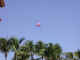 04mar2001_parasailing.JPG (716525 bytes)