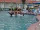 06mar2001_poolfun.JPG (693862 bytes)