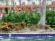 06mar2001_poolgarden.JPG (713095 bytes)